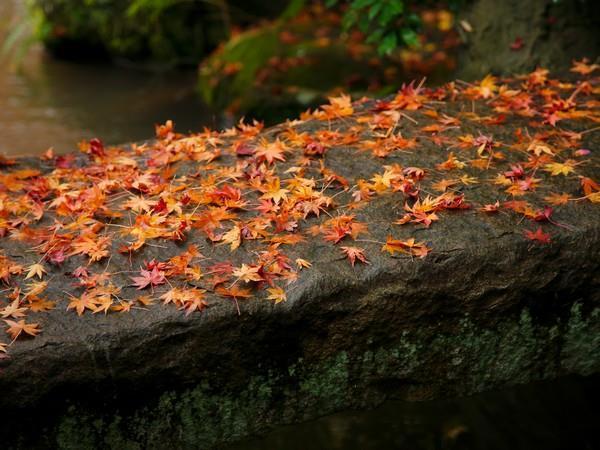 Hotel Yagyu No Sho Izu  Exterior foto