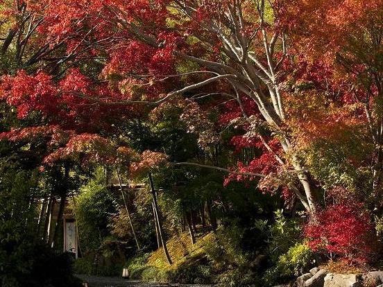 Hotel Yagyu No Sho Izu  Exterior foto